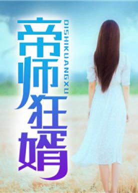 叶辰夏倾月