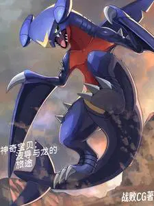 神奇宝贝：波导与龙的旅途