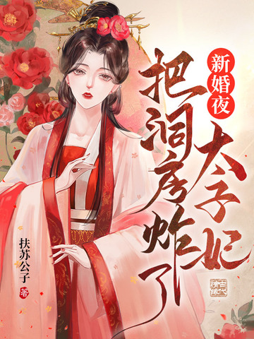 新婚夜太子妃把洞房炸了