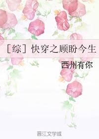 天命王朝
